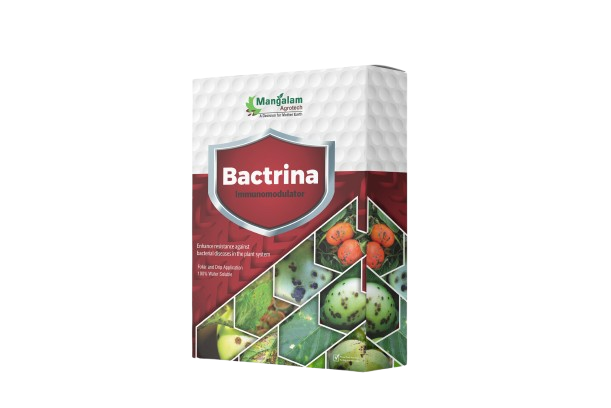 3-removebg-preview 3-removebg-preview