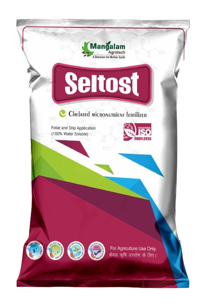 Seltos-removebg-preview