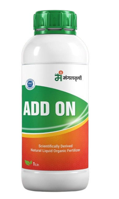 add_on-removebg-preview add_on-removebg-preview