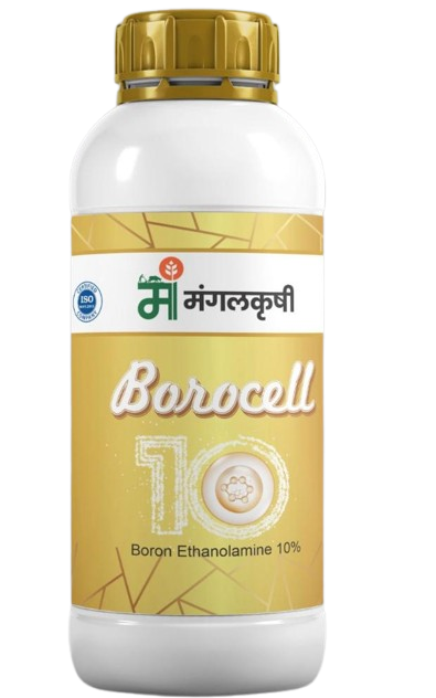 borocell-removebg-preview