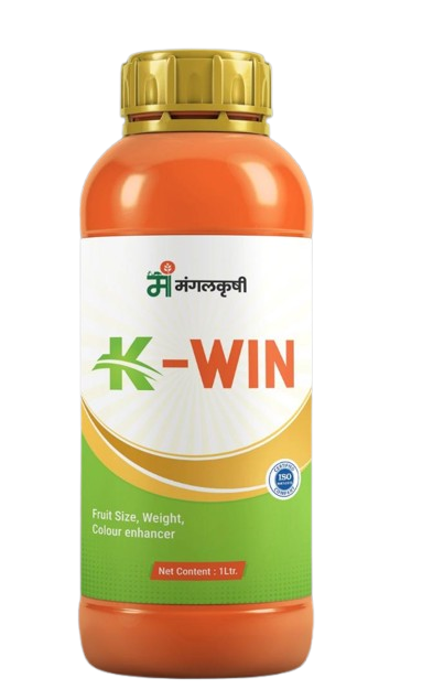 k_win_new-removebg-preview k_win_new-removebg-preview