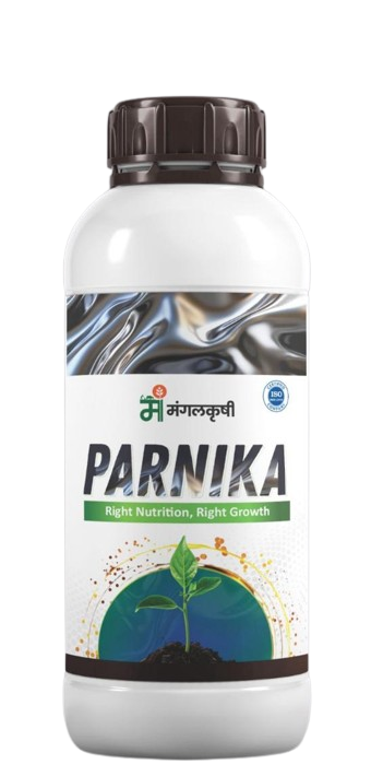 parnika-removebg-preview parnika-removebg-preview