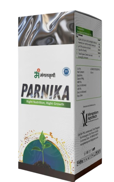 parnikanewbox-removebg-preview parnikanewbox-removebg-preview