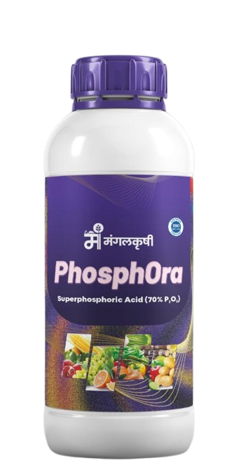 phosphoranew-removebg-preview phosphoranew-removebg-preview