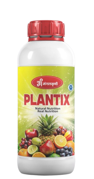 plantixnew_-removebg-preview plantixnew_-removebg-preview