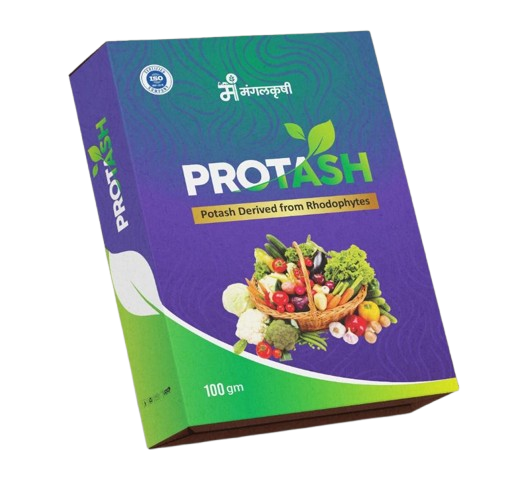 protash-removebg-preview protash-removebg-preview