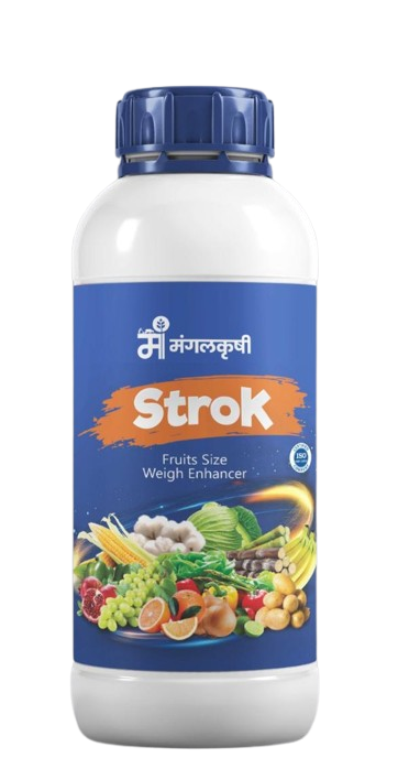 strocknew-removebg-preview (1) strocknew-removebg-preview (1)