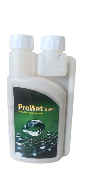 prowe_gold-removebg-preview